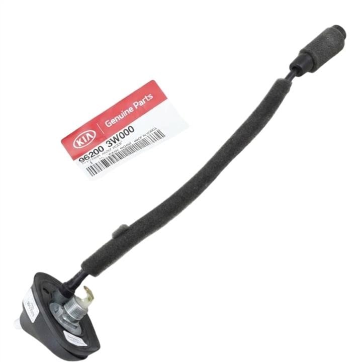 962003W000 Hyundai/Kia Antenna