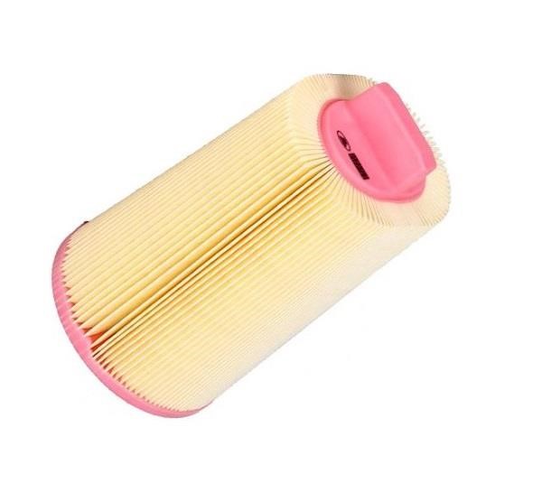 S114217 Polcar Air filter