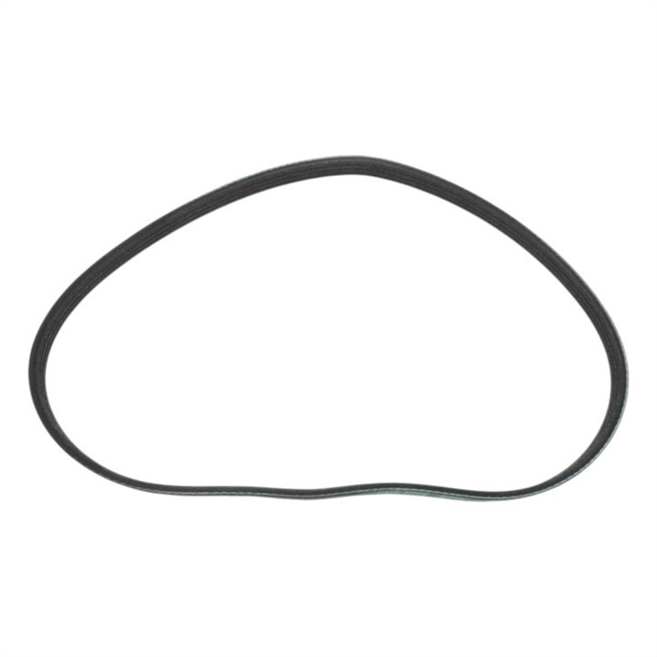 Nissan 11950-31UXM Poly-V belt 1195031UXM 1195031UXM Nissan Poly-V belt