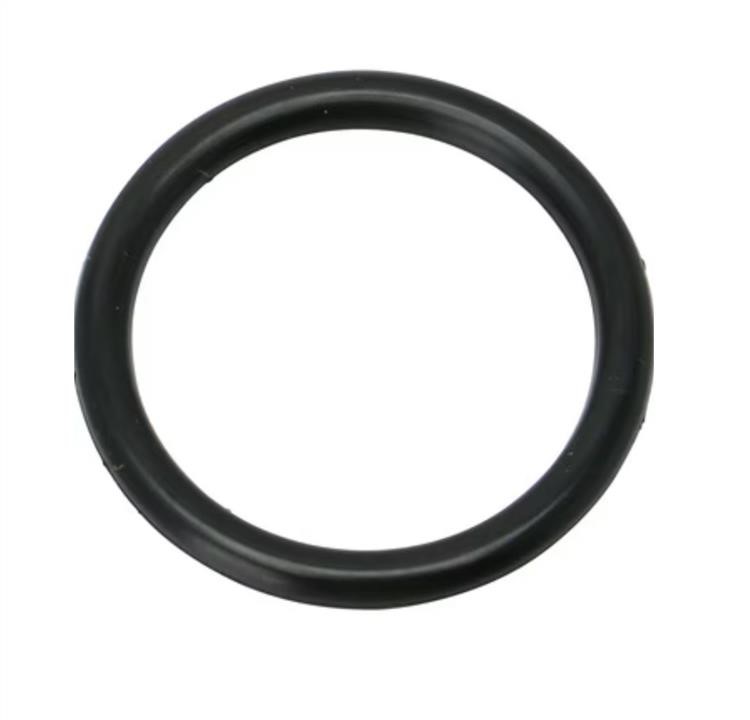 2484260G10 Suzuki Automatic Transmission Oil Drain Plug O-Ring