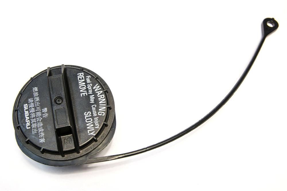 42031SA000 Subaru Fuel Door Assembly
