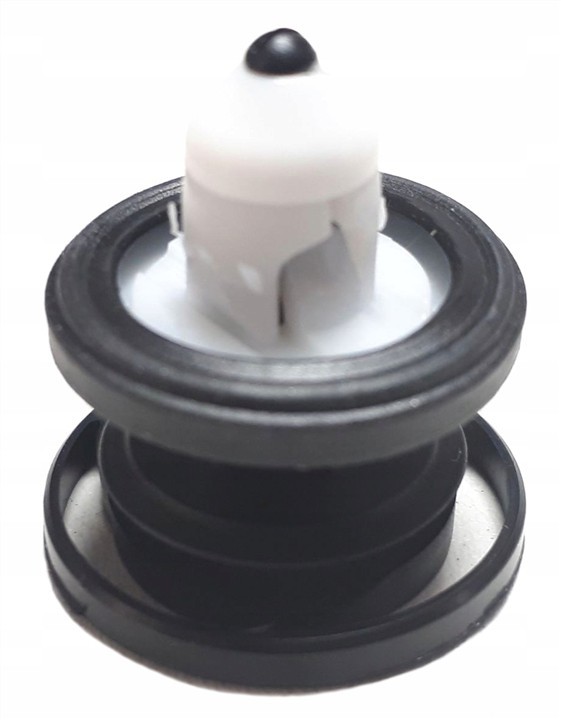 3CN868243 VAG Door trim plug
