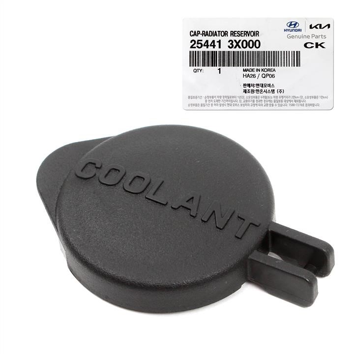 Buy Hyundai/Kia 25441 3X000 at a low price in United Arab Emirates!