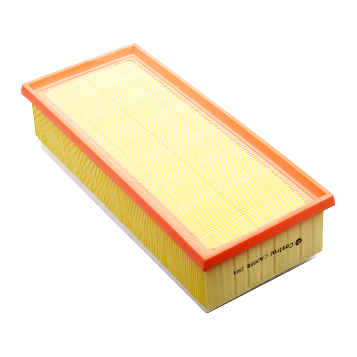 CA0098 Castrol Filters Air filter