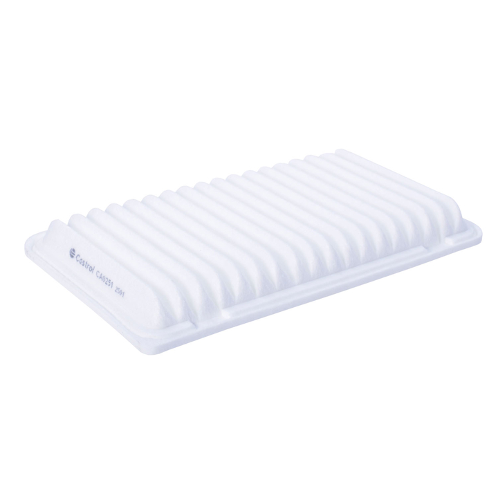 Air filter Lexus RX: CA0251 Castrol Filters Air filter