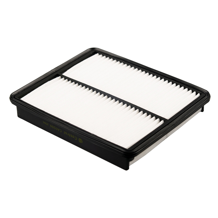 CA0260 Castrol Filters Air filter