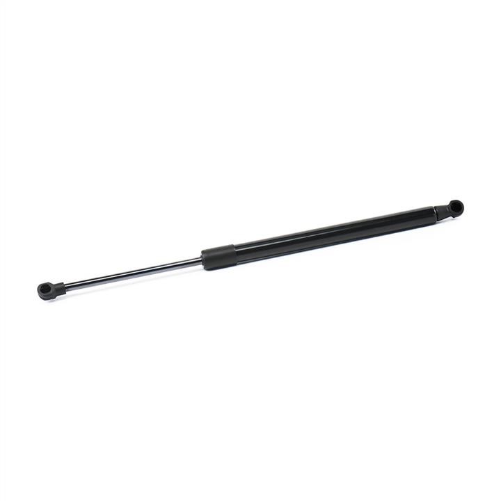 Boot gas struts Renault Duster: 904522228R Renault Tailgate strut