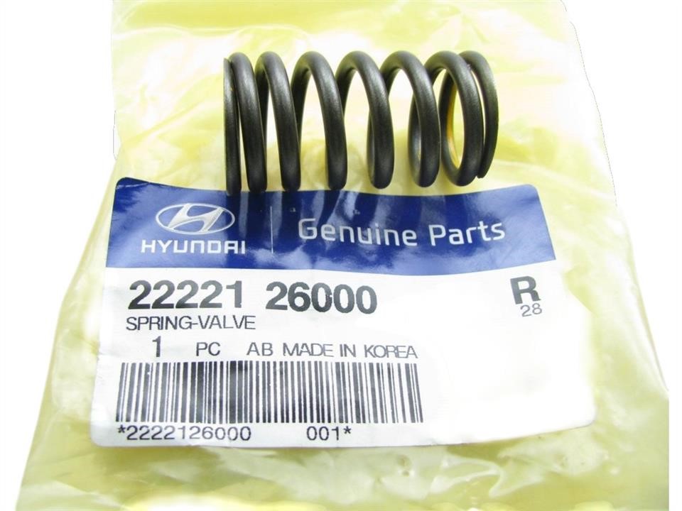 2222126000 Hyundai/Kia Valve spring