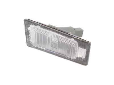 925021M400 Hyundai/Kia Licence Plate Lamp, towbar