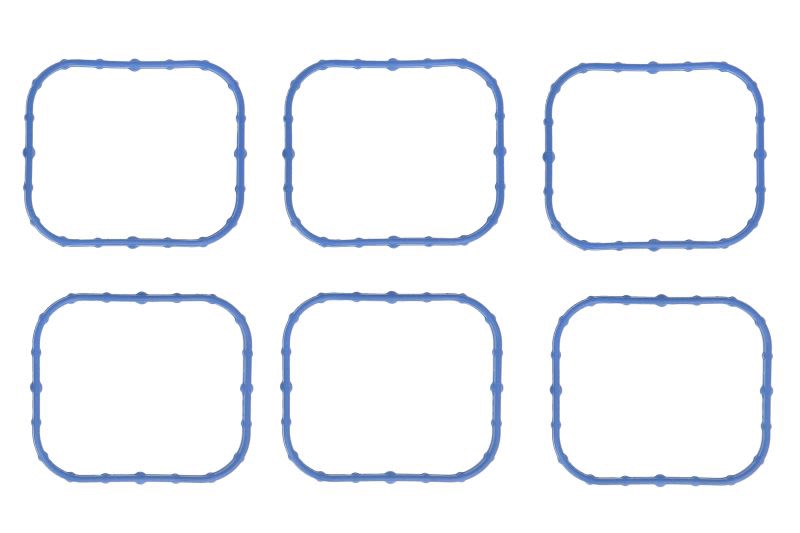 Air inlet manifold gasket Holden Commodore: 554600 Elring Intake manifold gaskets, kit