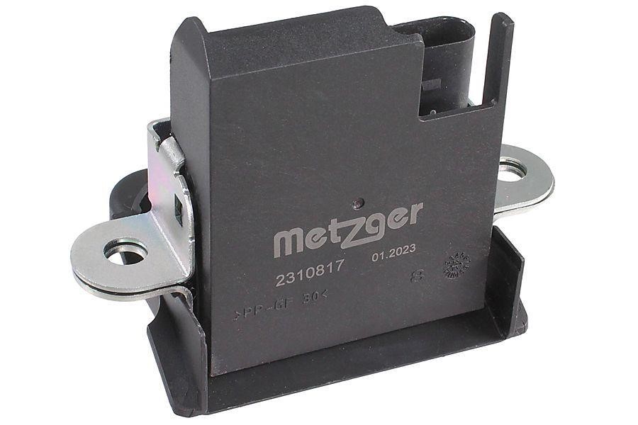 2310817 Metzger Tailgate lock