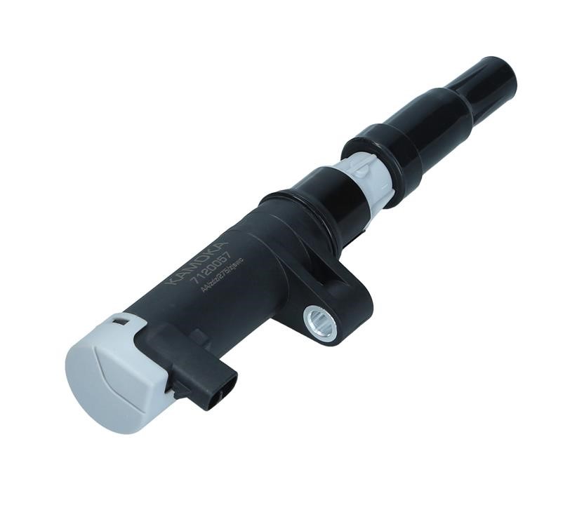 Engine coil Renault Kangoo: 7120057 Kamoka Ignition coil
