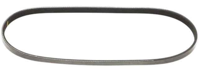 1195031U02 Nissan Poly-V belt