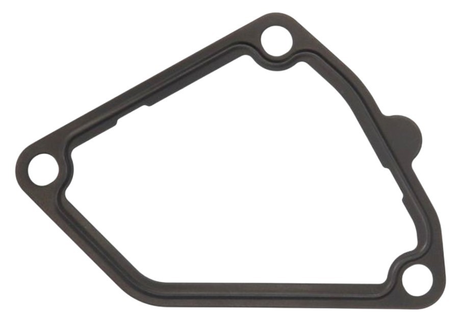 Gaskets Nissan Terrano: 1305031U00 Nissan Gasket