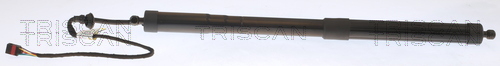 Tailgate gas struts Seat: 871029303 Triscan Tailgate strut