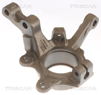 Steering Knuckle, wheel suspension Triscan 8500 25702