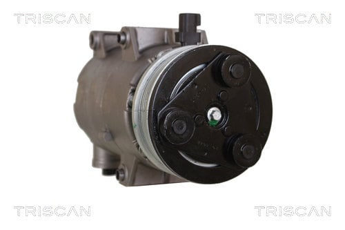 Clutch cable Citroen C5: 814028737 Triscan Cable Pull, manual transmission