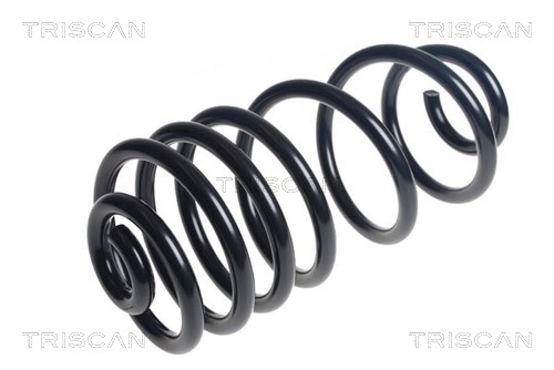 875028314 Triscan Coil spring