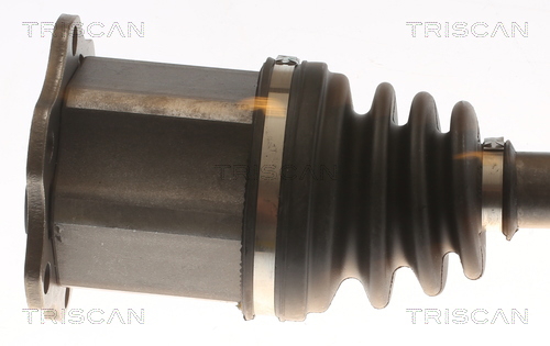 Buy Triscan 8540 295088 at a low price in United Arab Emirates!