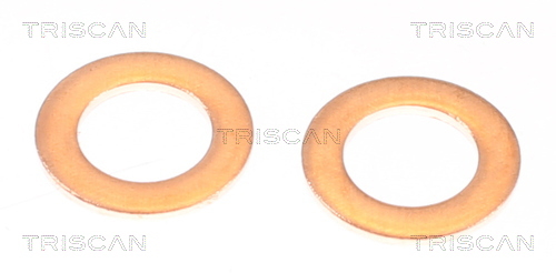 Buy Triscan 8150131006 – good price at EXIST.AE!