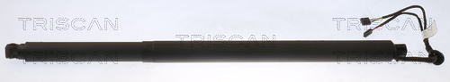 871029314 Triscan Tailgate strut