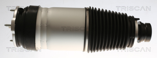 Buy Triscan 8720 81101 at a low price in United Arab Emirates!