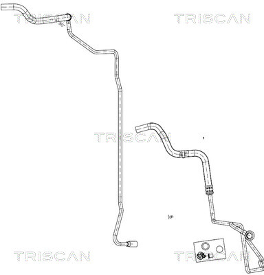 851629011 Triscan Hydraulic Hose, steering