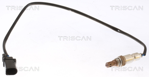 Splash Guard, brake disc Triscan 8125 29289