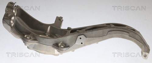 Wheel stub axle Tesla: 850081704 Triscan Knuckle swivel