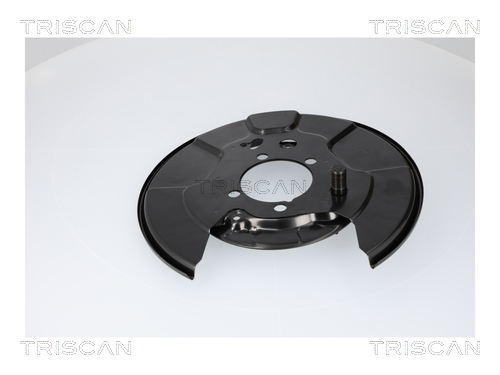 Splash Guard, brake disc Triscan 8125 13228