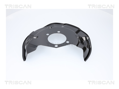 Splash Guard, brake disc Triscan 8125 14216