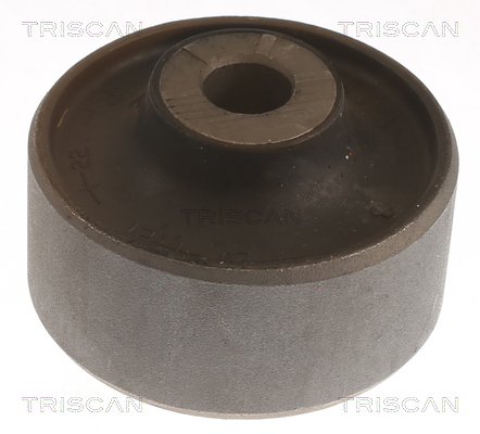 8500298084 Triscan Silent block