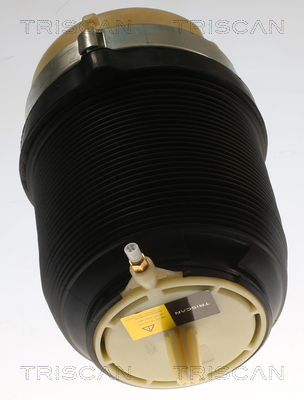 Air Spring, suspension Triscan 8720 29202