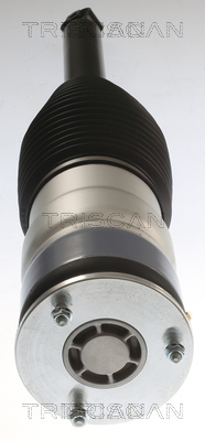 Air Spring, suspension Triscan 8720 81201