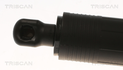 Buy Triscan 8710 29306 at a low price in United Arab Emirates!