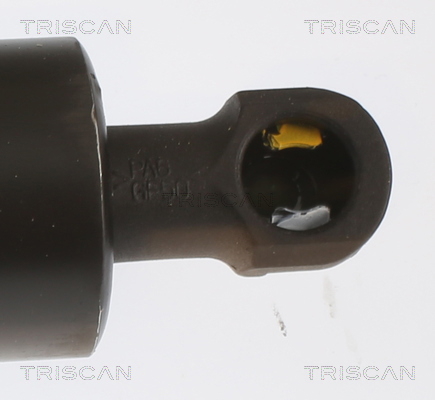 Buy Triscan 8516 16033 at a low price in United Arab Emirates!