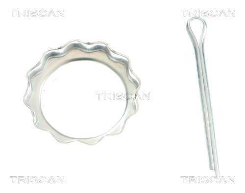 Buy Triscan 854014597 – good price at EXIST.AE!