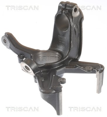 Knuckle swivel Triscan 8500 29701