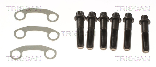 Buy Triscan 8540297001 – good price at EXIST.AE!