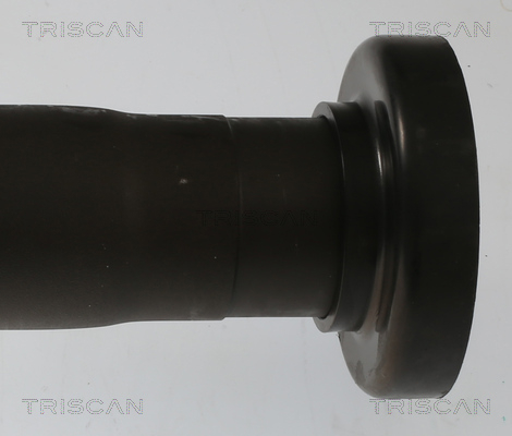 Buy Triscan 8540297014 – good price at EXIST.AE!