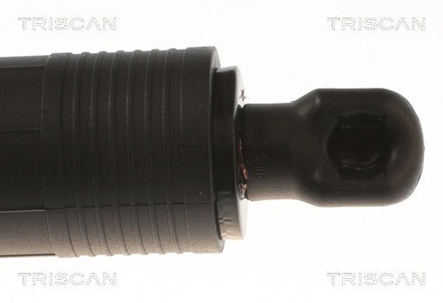 Buy Triscan 871043302 – good price at EXIST.AE!