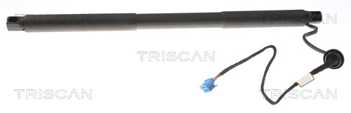 871023304 Triscan Tailgate strut