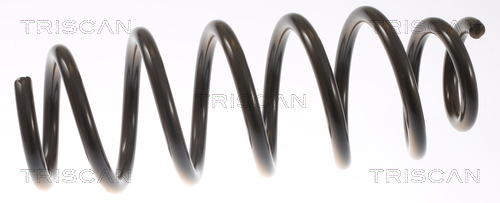 Coil spring suspension Tesla: 87508101 Triscan Suspension Spring
