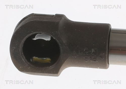Buy Triscan 8516 16032 at a low price in United Arab Emirates!