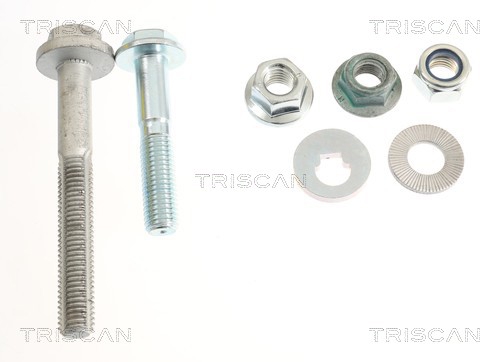 Control/Trailing Arm, wheel suspension Triscan 8500 81519