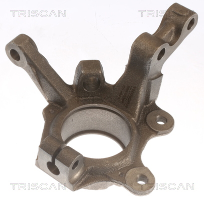 Steering Knuckle, wheel suspension Triscan 8500 25701