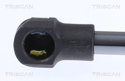 Buy Triscan 8516 16028 at a low price in United Arab Emirates!
