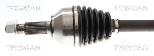 Buy Triscan 8540 14597 at a low price in United Arab Emirates!