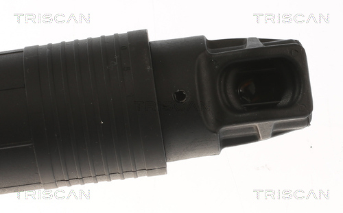 Tailgate strut Triscan 8710 11311