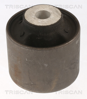 Rubber bushes Tesla Model Y: 850081803 Triscan Silent block